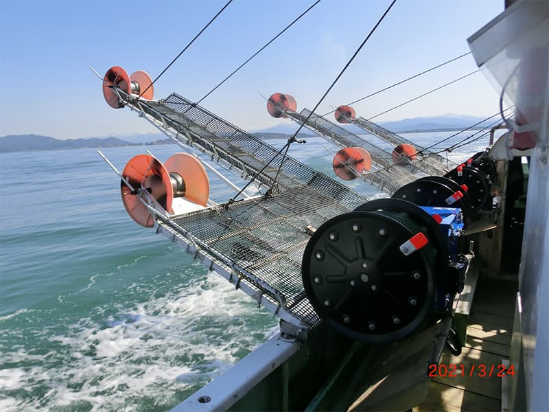 安いそれに目立つ 自動イカ釣り機 自動いか巻き揚げ機